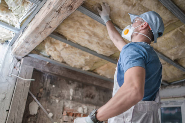 Best Cellulose Insulation in Meadow Vista, CA