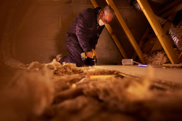 Best Spray Foam Insulation in Meadow Vista, CA