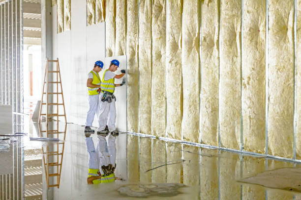 Professional Insulation Contractor in Meadow Vista, CA